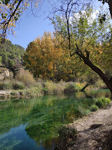 Bosque Encantado de Las Higueras — fotografia 4