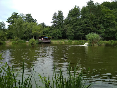 Schallerlteiche