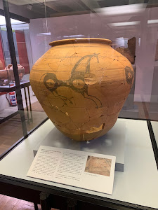 Museo Numantino — fotografia 4