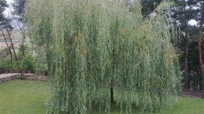 Mănăstirea rupestră Șinca Veche — fotografia 2