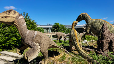 DinoPark KÖKI Budapest — fotografia 5