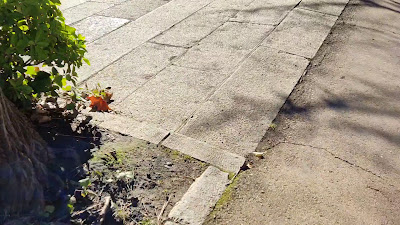 Palauet Albéniz — fotografia 2