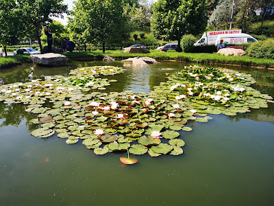 Parc Viva — fotografia 4