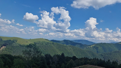 Belvedere Paltiniș