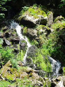 Geotop Leyenbach-Wasserfall — fotografia 5