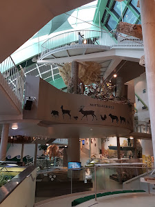 Lower Austria Museum — fotografia 5
