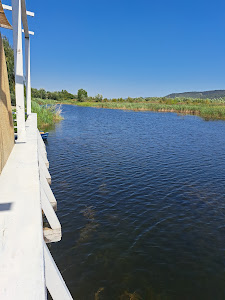 Balta Albastră — fotografia 3