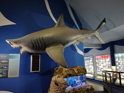 Pannon Sea Museum — fotografia 3