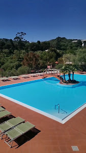 Camping Edy — fotografia 5