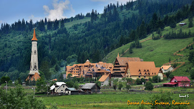Mănăstirea „Acoperământul Maicii Domnului” Dorna-Arini — fotografia 3
