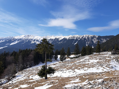 Poiana Zănoaga — fotografia 3