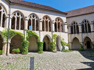Castle Zvíkov — fotografia 4