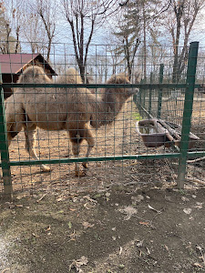 Grădina Zoologică Bucov (Ploiești)