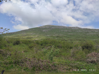 Siljak — fotografia 3