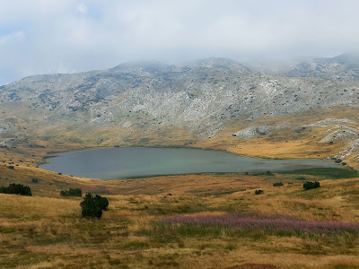 Zelengora