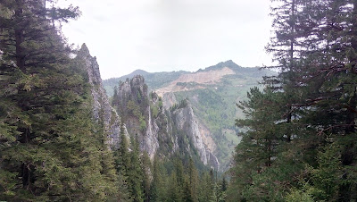 Cheile Șugăului — fotografia 3