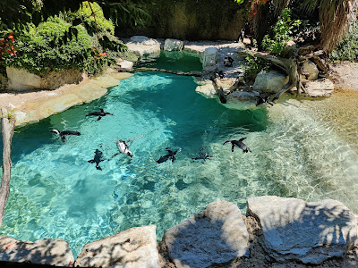 Zoo of Pistoia — fotografia 3