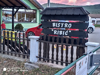 Bistro Ribič