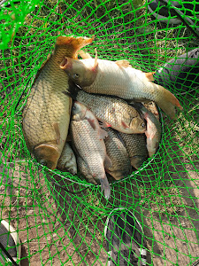 Balta Bixad - Fishing & Relax Camp — fotografia 5