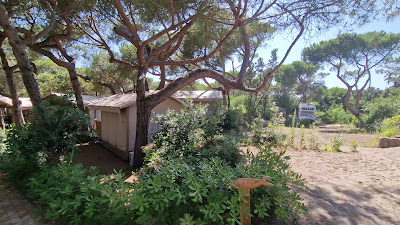 The Camping Capannino — fotografia 5