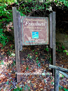 Naturalistic Area Frassineto — fotografia 2