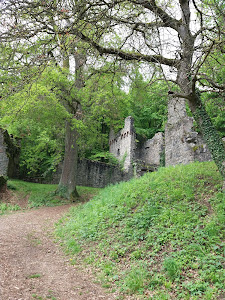 Burg Rodenstein — fotografia 3