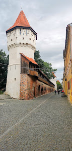 Parcul Cetății — fotografia 3