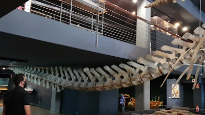 Museo Marítimo del Cantábrico — fotografia 2