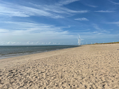 Strand maasvlakte — fotografia 4