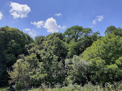 Boaza Waterfall — fotografia 4