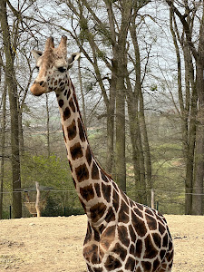 Zoo and Chateau Zlin-Lesna — fotografia 4