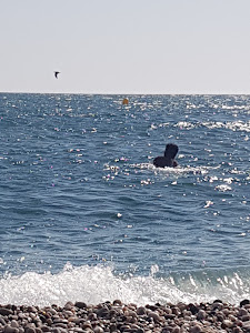 Playa Balerma — fotografia 5