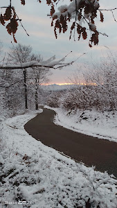 Medvednica Mountain Trail 9 — fotografia 5