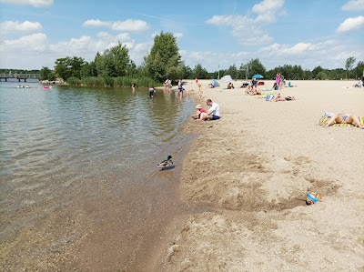 Cospudener See