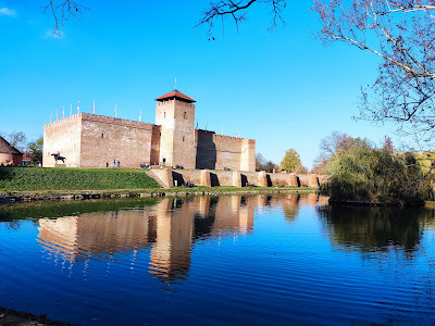 Cetatea din Gyula