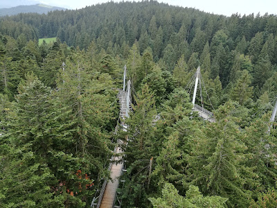 Waldwelt Skywalk Allgäu — fotografia 4
