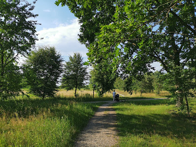 Lublinek Wilderness Preserve — fotografia 5