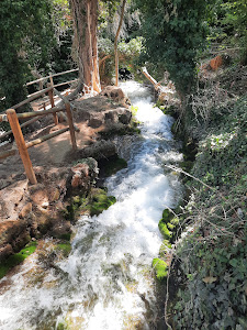Salto de Agua La Paradera — fotografia 5