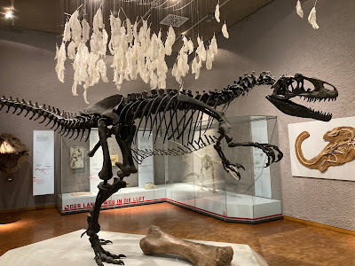State Museum of Natural History Stuttgart — fotografia 3