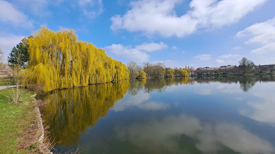 Hansestadt Stendal - Tiergarten — fotografia 4