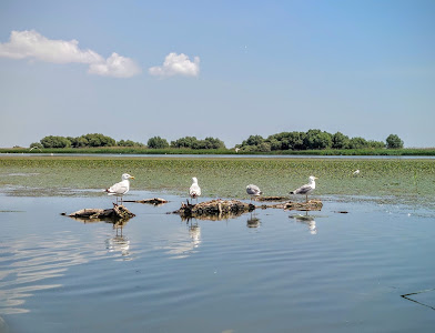 Lacul Rotund