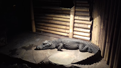 Zoo De Oliemeulen — fotografia 5