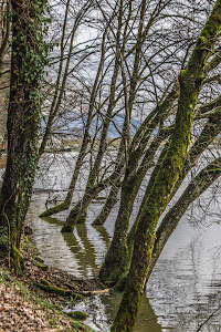 Lacul Călinești — fotografia 5