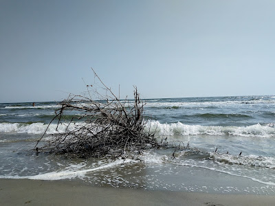 Plaja Sfântu Gheorghe — fotografia 5