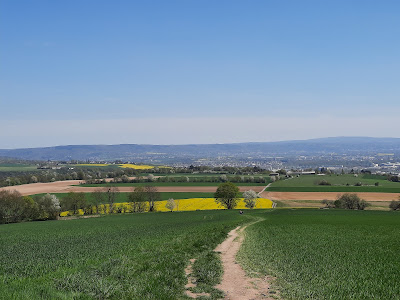 Traumpfädchen Kleiner Stern — fotografia 5