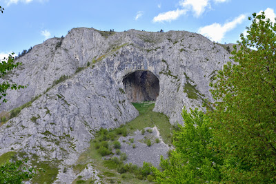 Coșul Boului