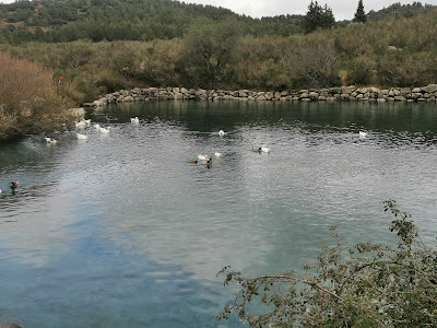 Nacimiento del Río de la Villa