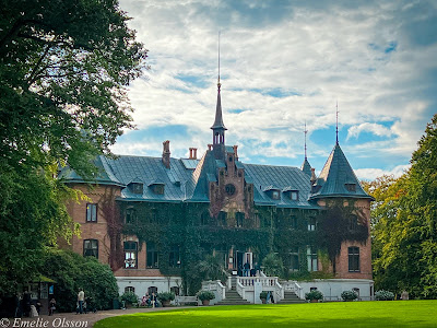 Sofiero Palace — fotografia 3