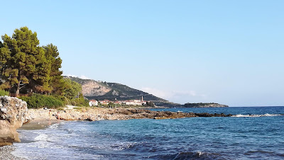 Ritsa Beach — fotografia 5