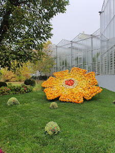 Grădina botanică "Anastasie Fătu"